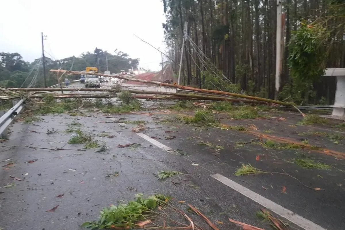 Defesa Civil confirma sétima morte em decorrência das chuvas em SP
