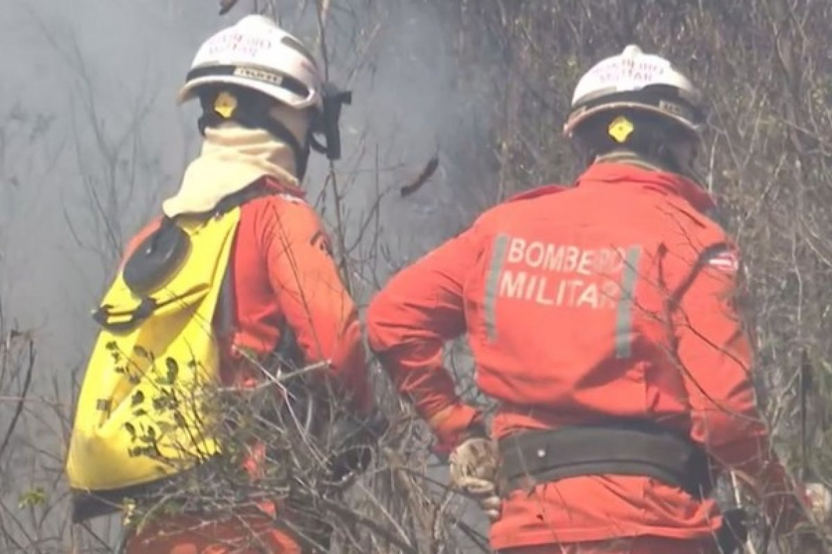 Parque da Serra do Periperi na Bahia é atingido por incêndio