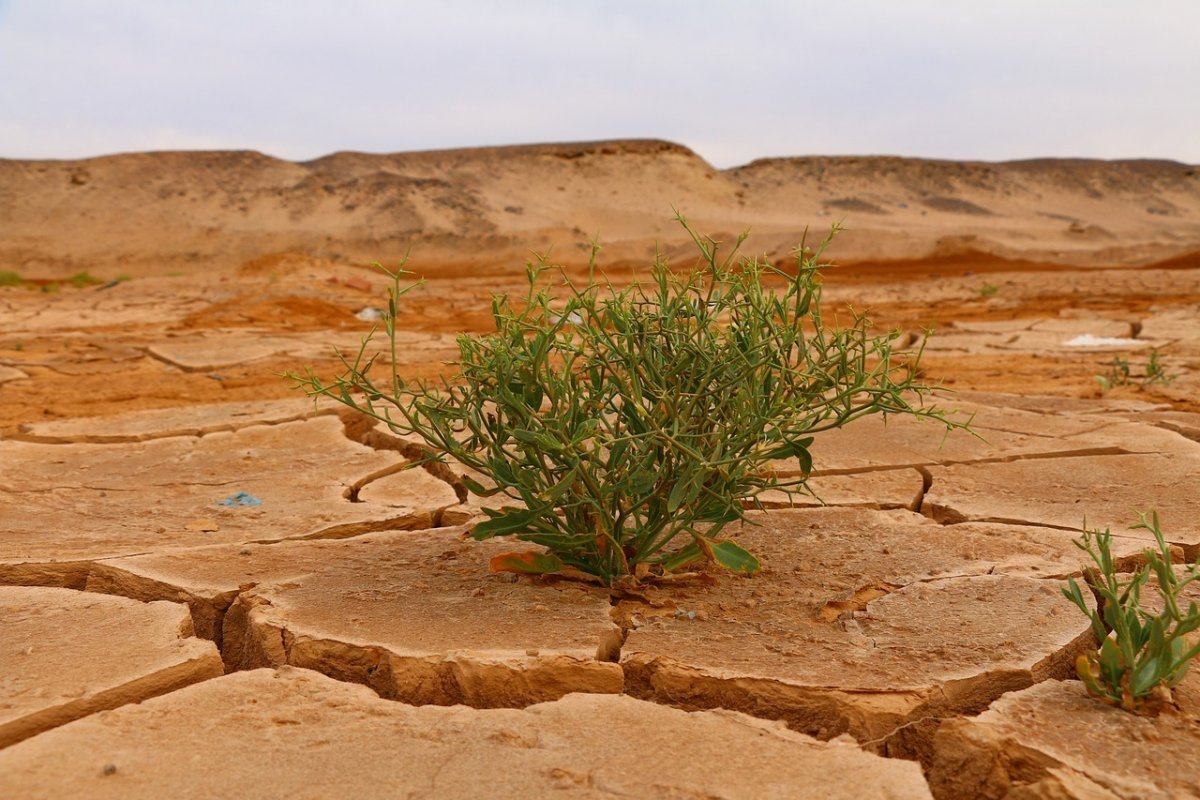 Pela primeira vez na história, estudo identifica regiões com clima árido no Brasil