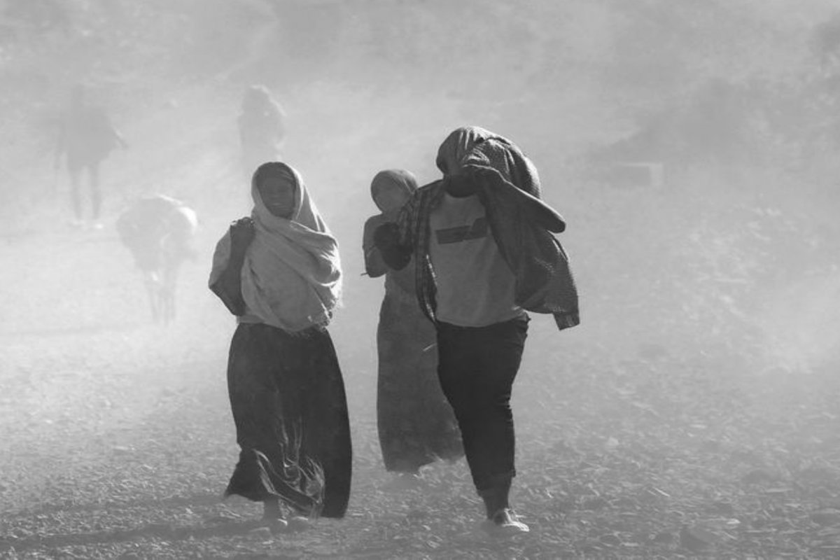 El Niño: previsões indicam intensificação do fenômeno climático até abril de 2024