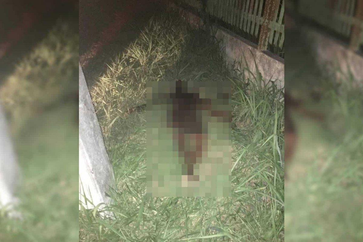 Dois corpos são encontrados com sinais de tortura e queimaduras em Simões Filho