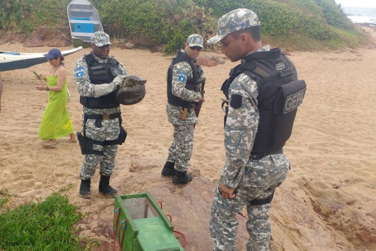 Grupo Especial de Proteção Ambiental já resgatou mais de mil animais silvestres em 2023