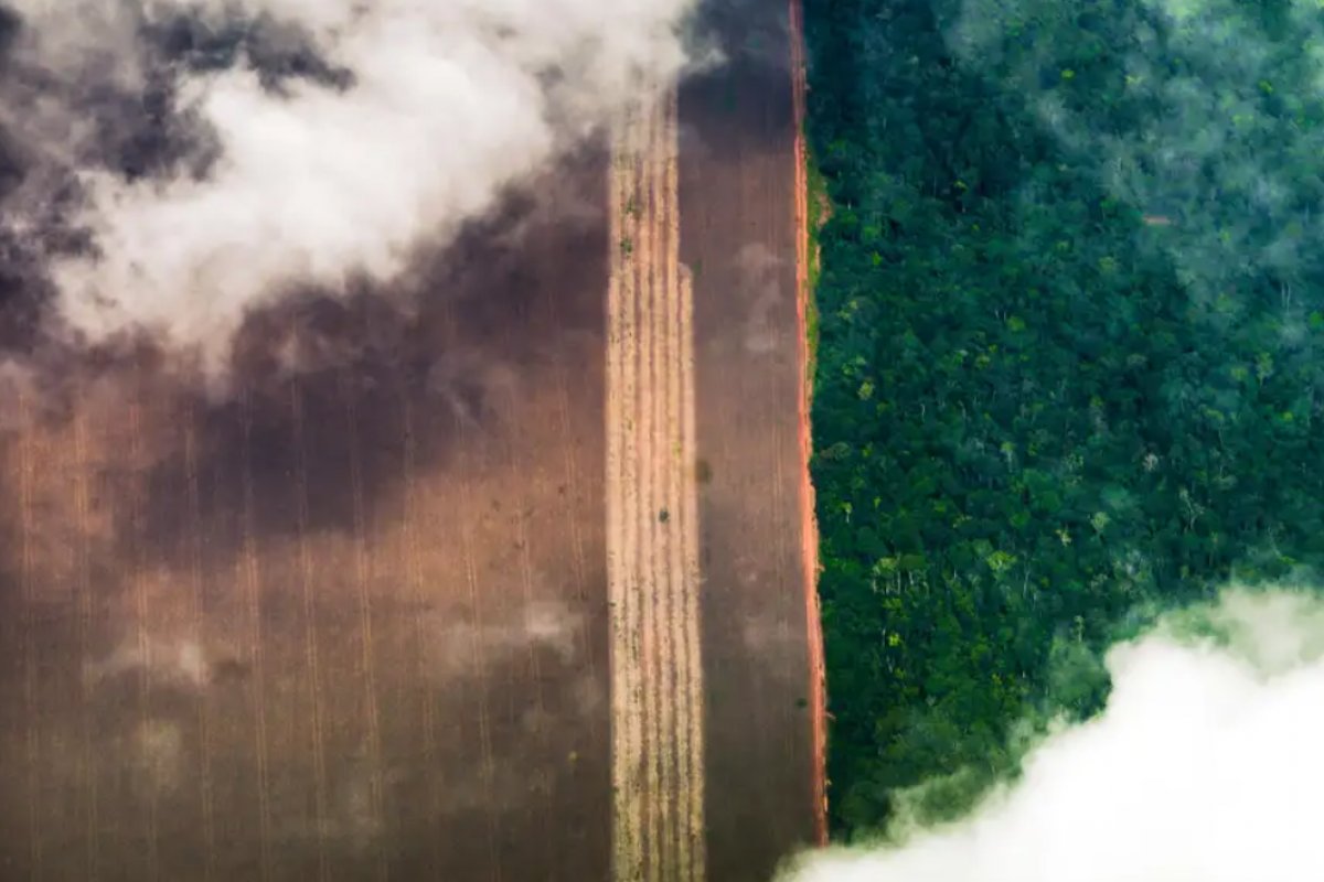 Desmatamento da Amazônia ampliou risco de calor no Brasil, diz meteorologista da ONU