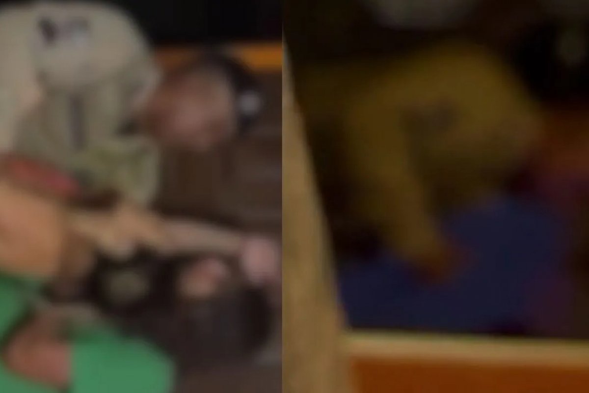 Mulher é detida após confronto com PM na Bahia