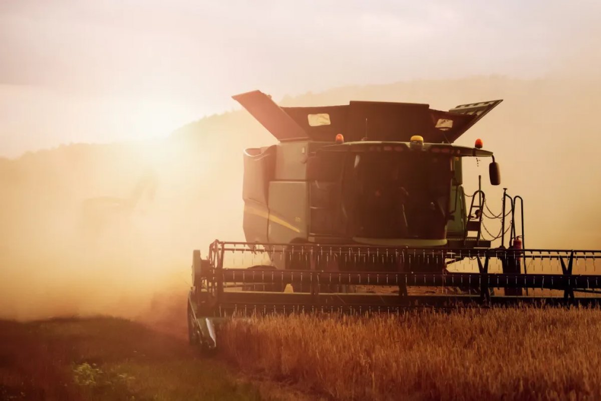 Brasil lidera ranking mundial em produtividade agropecuária entre 2000 e 2019, aponta levantamento