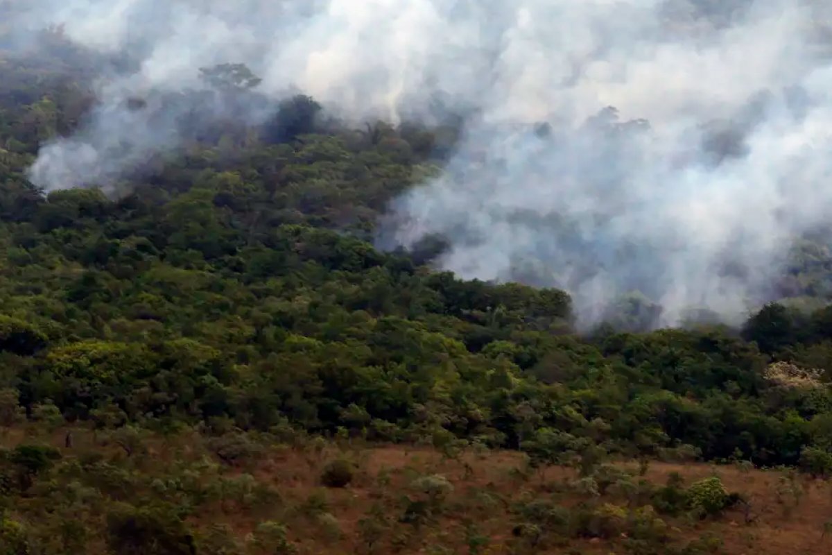 Comissão da Câmara debaterá com o presidente do Ibama o aumento das queimadas