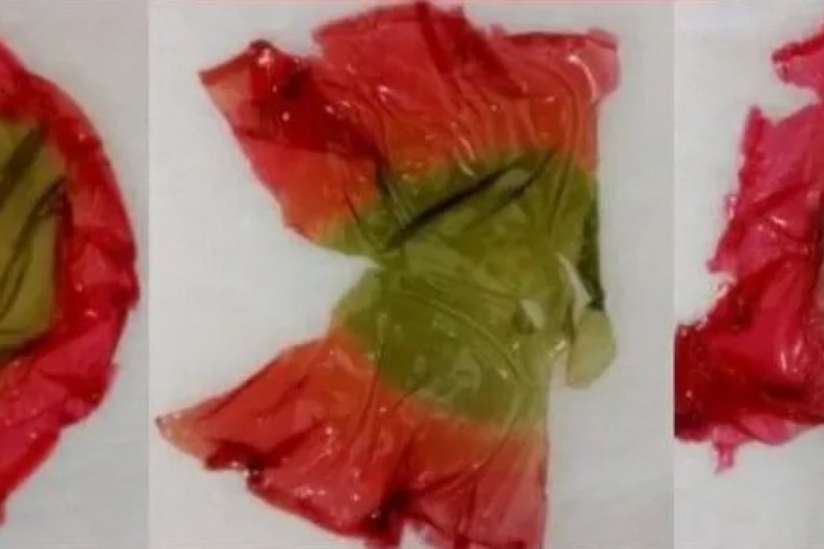 Material que muda de cor quando alimento estraga é criado pela UFSC