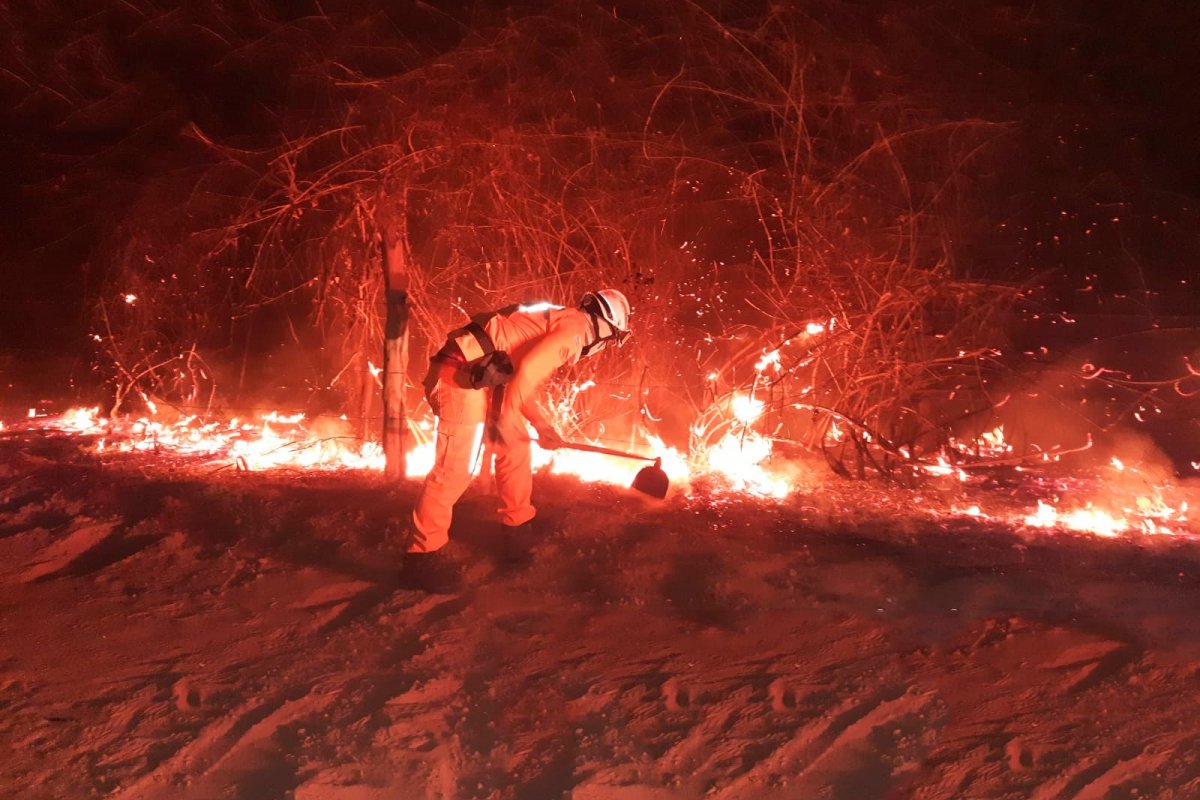 Incêndio destrói área equivalente a 300 campos de futebol em reserva ambiental no sul da Bahia