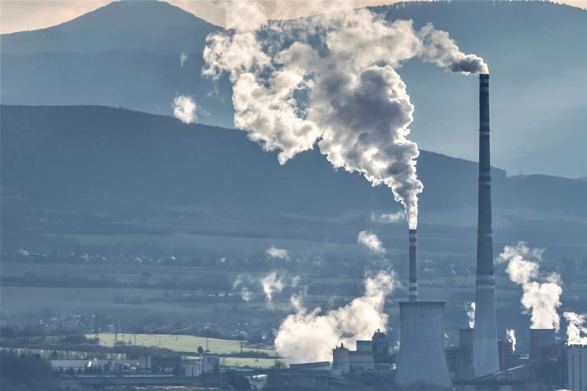 Apenas 18% das maiores empresas do mundo adotam ações para zerar carbono