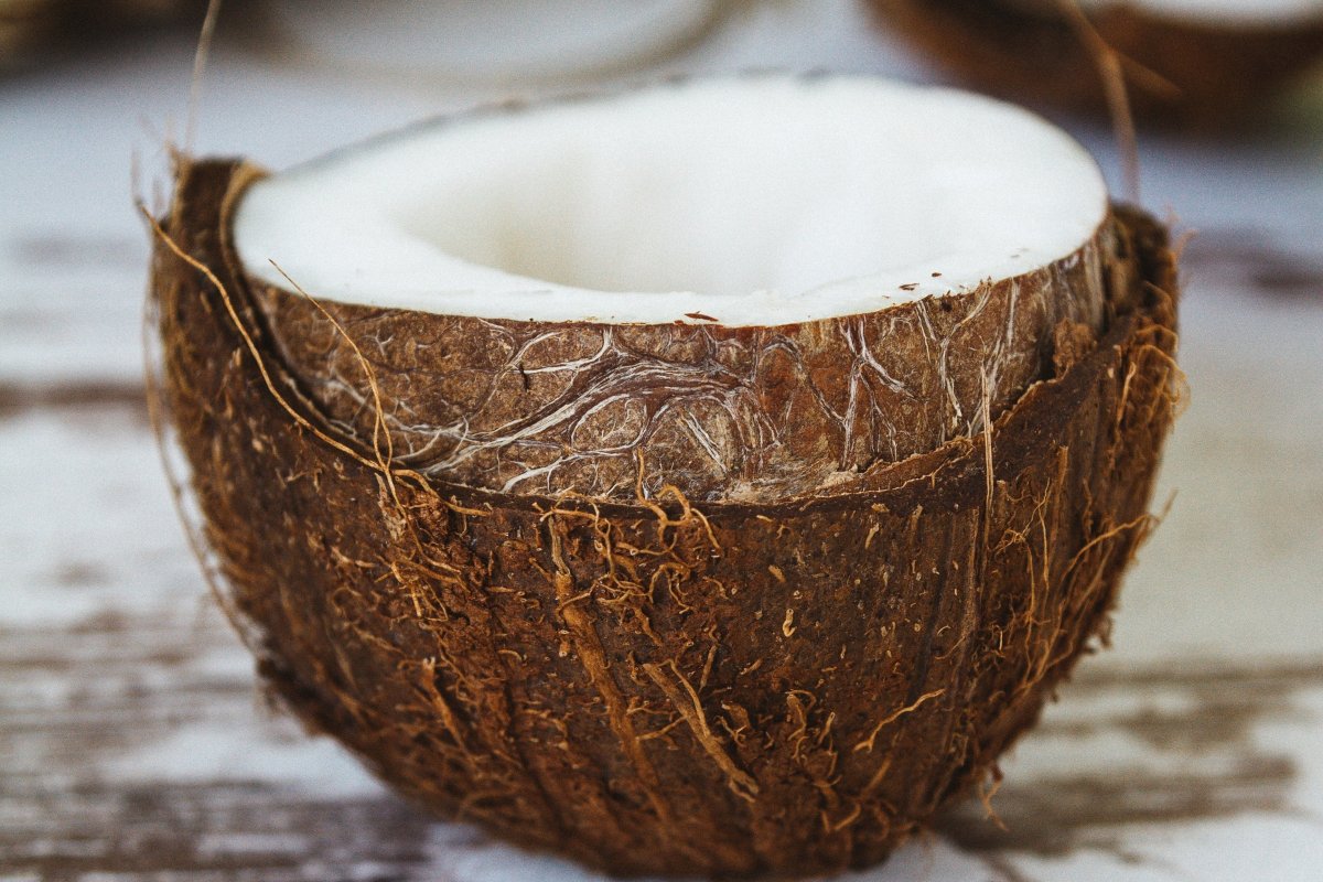 Óleo de coco é veneno, diz especialista de Harvard