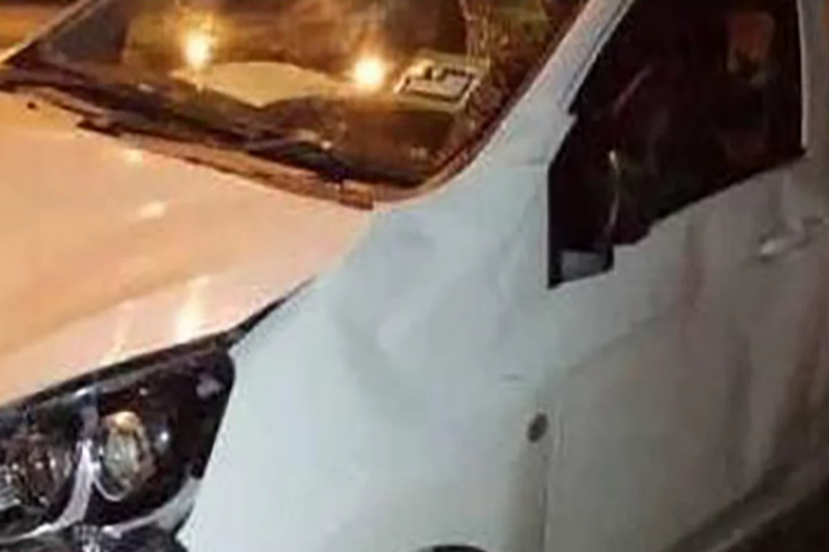 Família sobrevive a ataque de elefantes após atingir filhote na Malásia