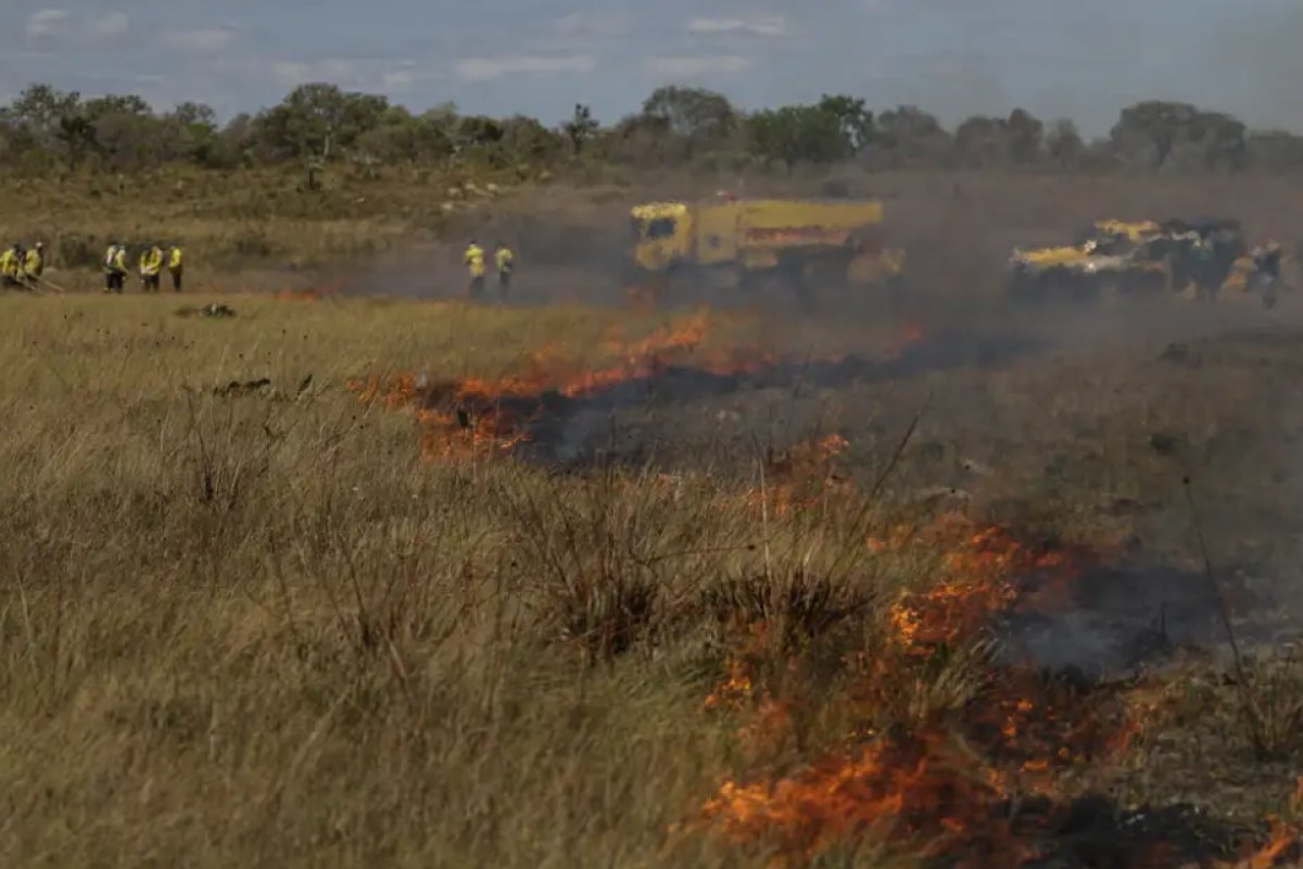 Destruição do cerrado cresce, mas desacelera, e governo lança plano para zerar desmatamento