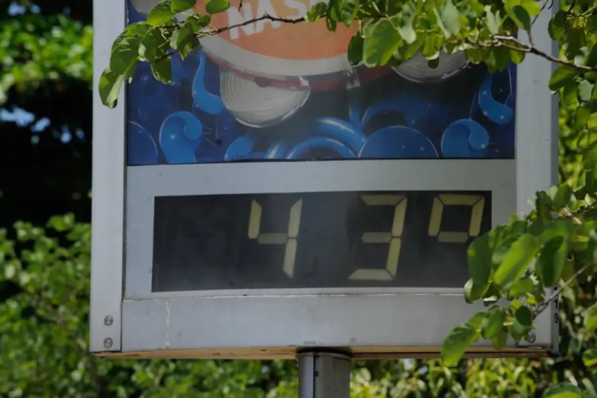 COP28 inicia hoje; entenda a importância do evento