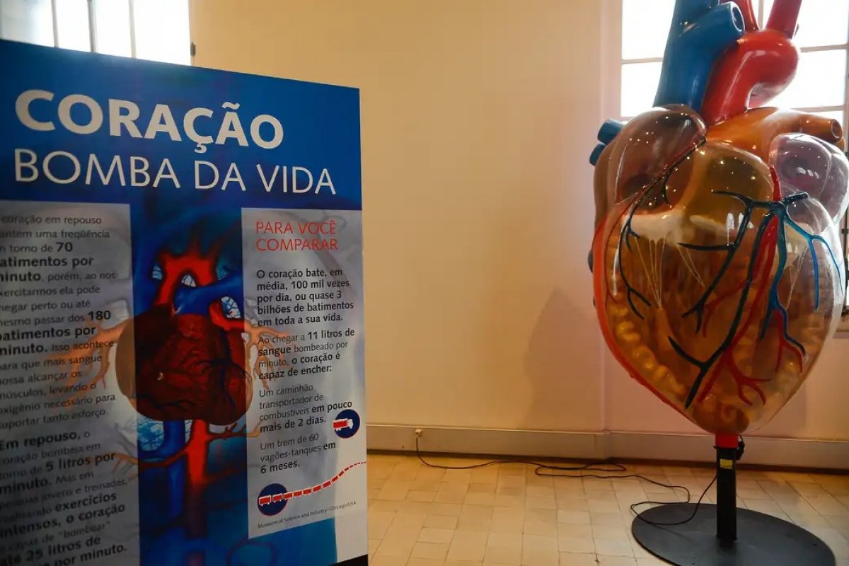 Pesquisadores afirmam que trocar escada por elevador reduz risco de infarto em 20%