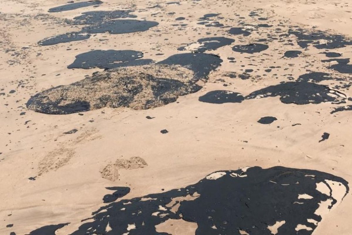 Após manchas de óleo atingirem o litoral brasileiro, Bahia Pesca apresenta novos resultados de análise do pescado