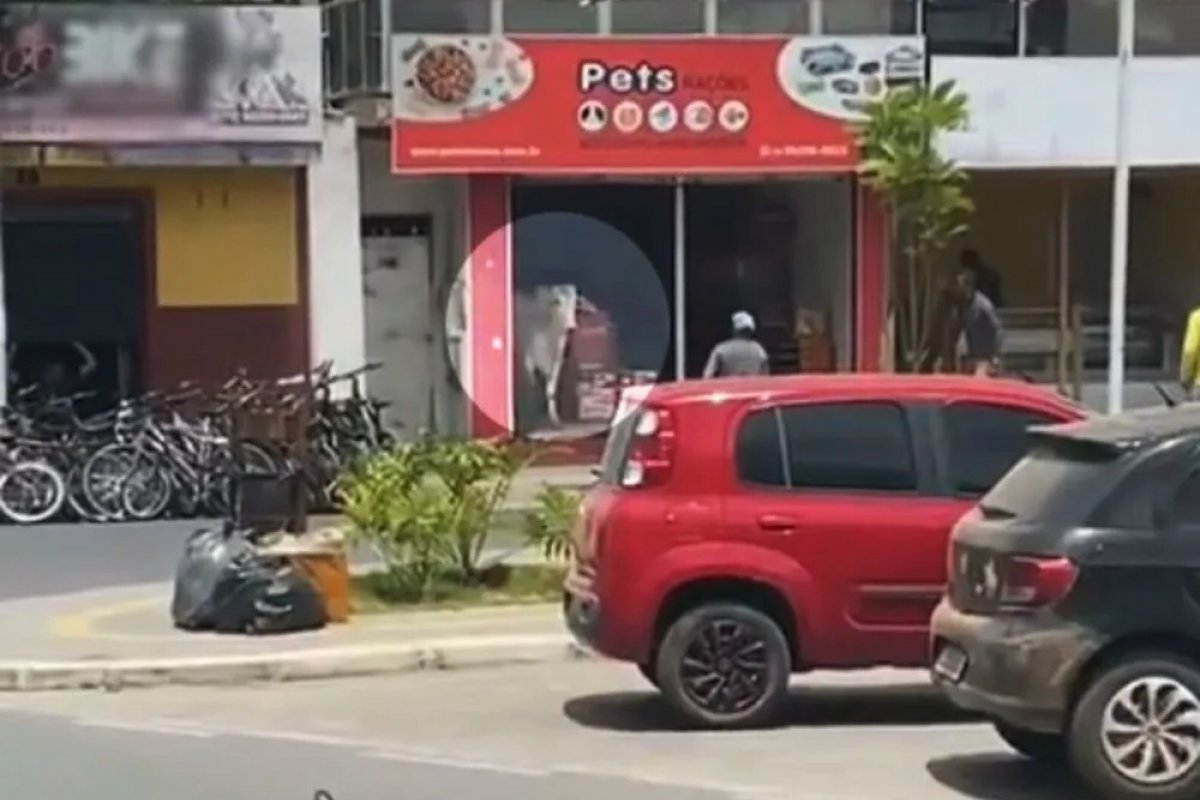 Boi invade petshop em Amargoso