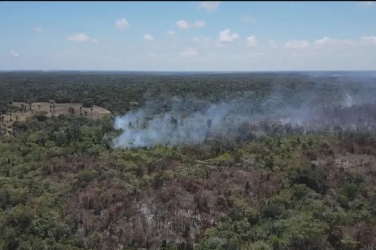 Queimadas destroem cerca de mil hectares de Mata Atlântica no extremo sul da Bahia