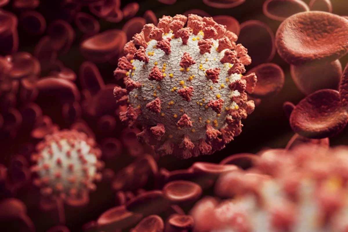 Ministério da Saúde recomenda nova dose de reforço diante do avanço da subvariante JN.1 da Covid-19