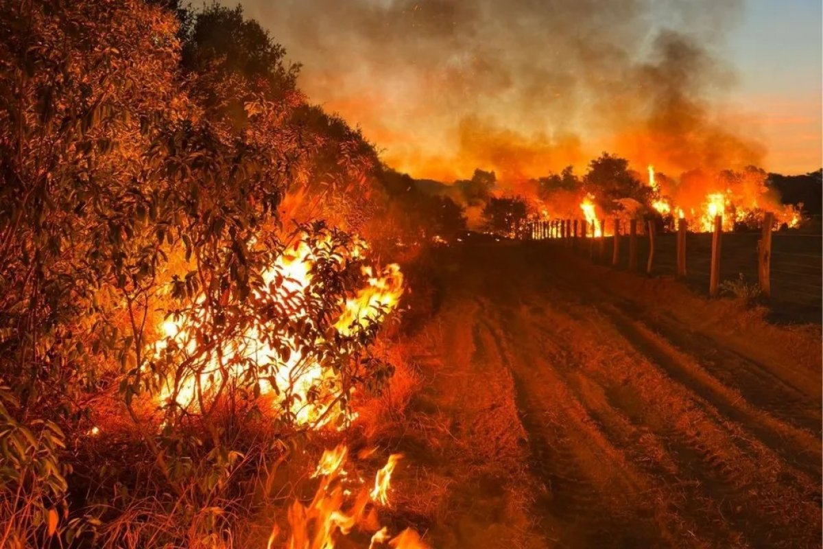 Proprietária de fazenda é multada em R$19 milhões por incêndio no Pantanal