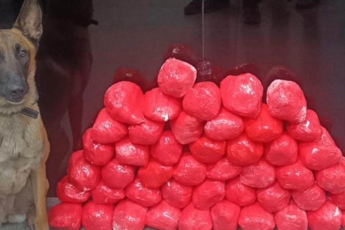 Operação Paz resulta na apreensão de 46 tabletes de cocaína em Jequié