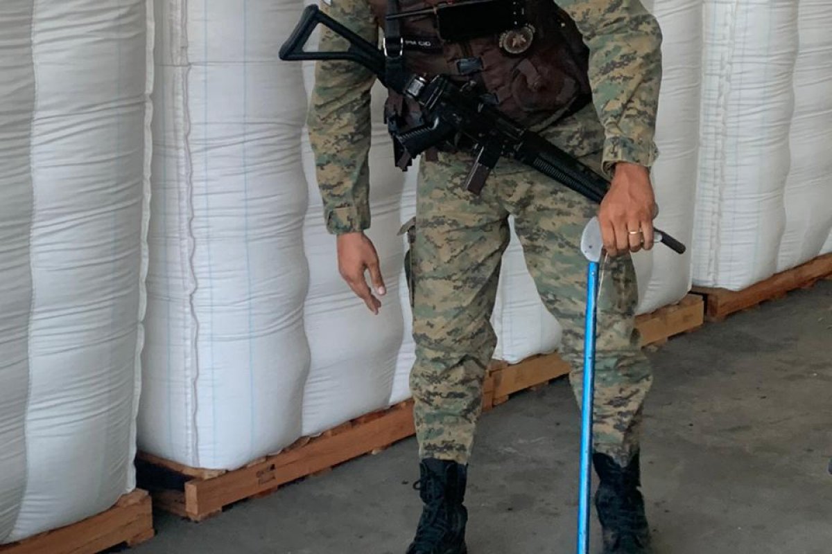 Coppa resgata jibóia de 1,5m em Camaçari