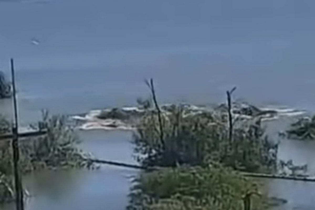 Vídeo: Mina da Braskem desaba em Maceió, diz prefeito