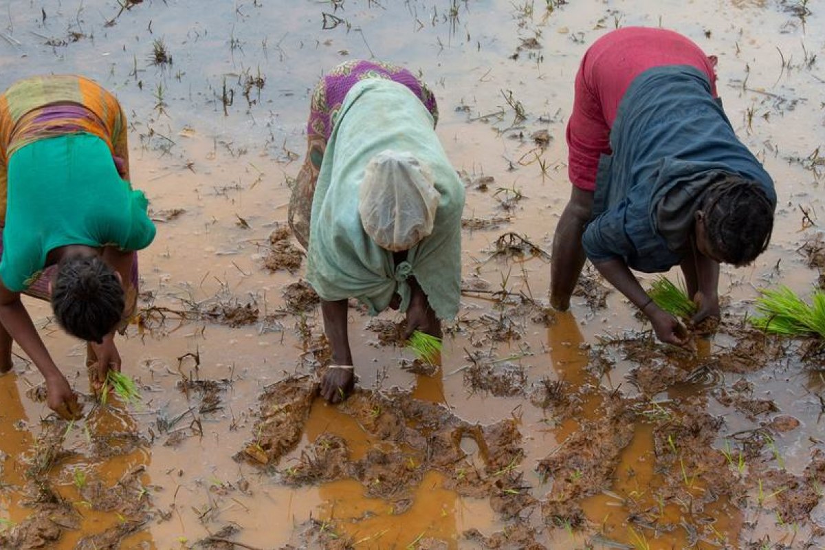 ONU faz apelo por US$ 46 bilhões para oferecer assistência humanitária