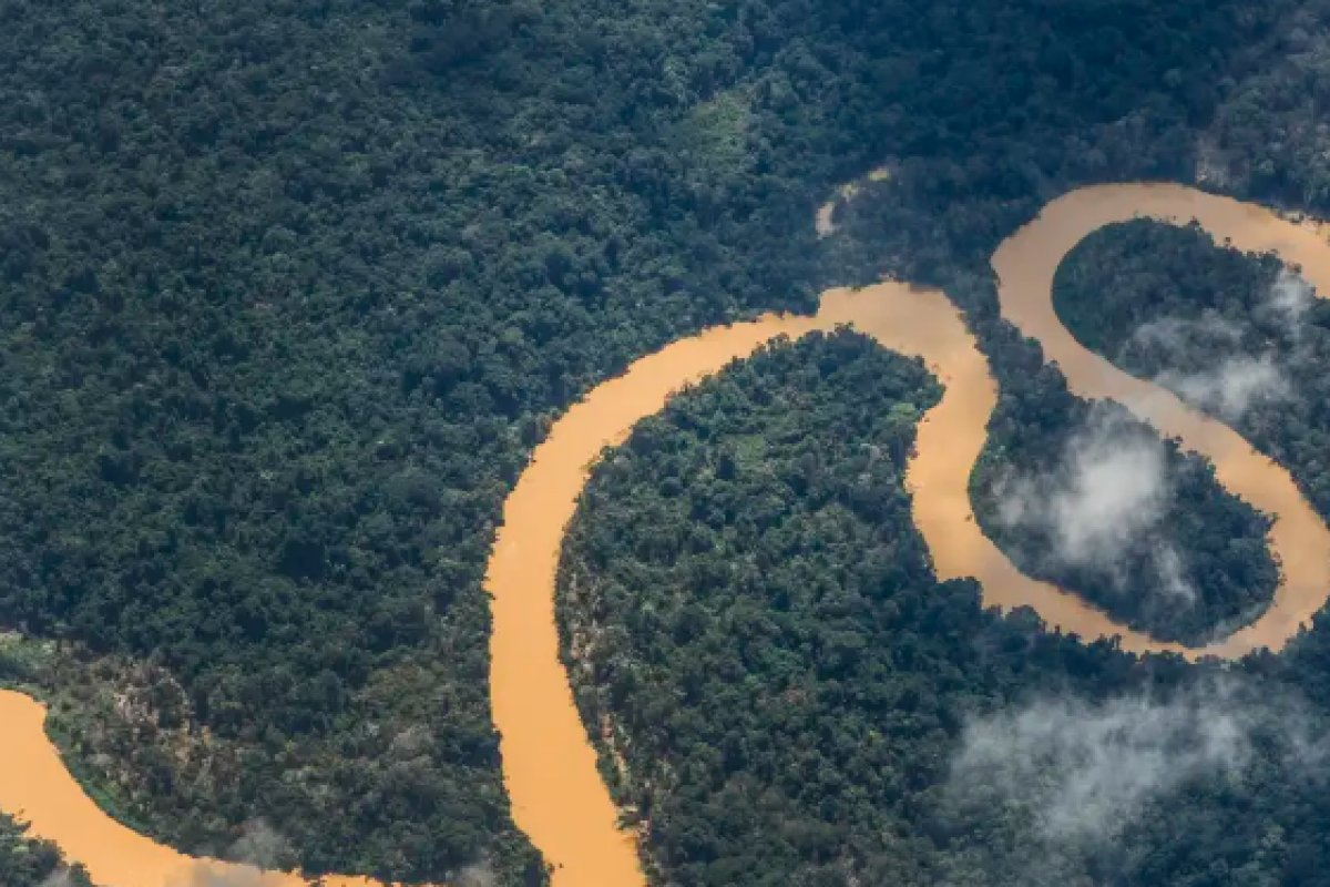 Noruega anuncia doação de R$ 245 milhões para o Fundo Amazônia