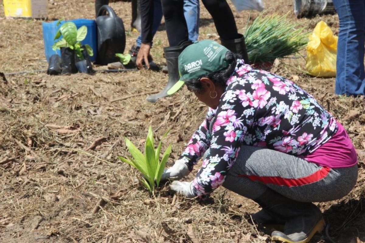 Rosewood São Paulo escolhe organização sem fins lucrativos que será beneficiada com Baile do Rosewood!