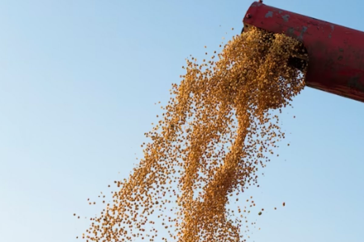 Exportações do agronegócio foram de US$ 13,48 bilhões em novembro