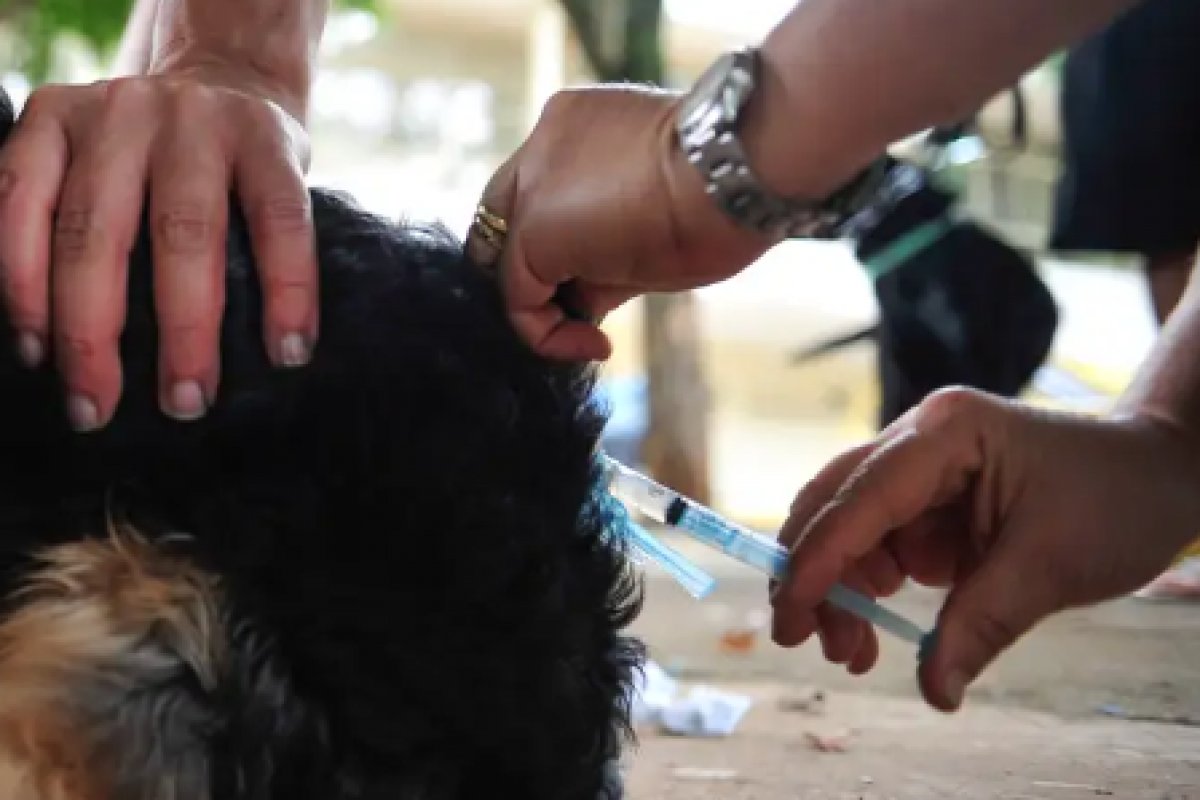 Secis realiza mutirão para aplicação da vacina V10 no subúrbio de Salvador