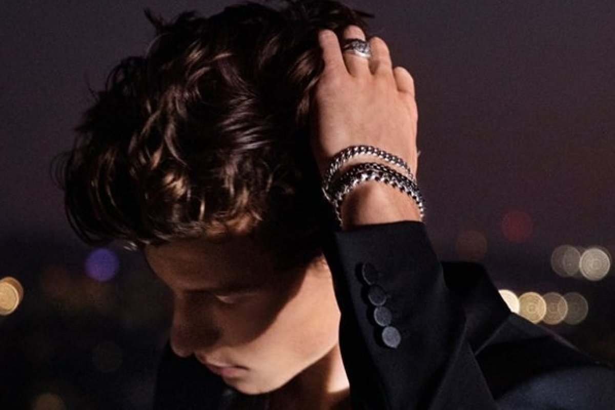 Cantor Shawn Mendes estrela campanha de joias!