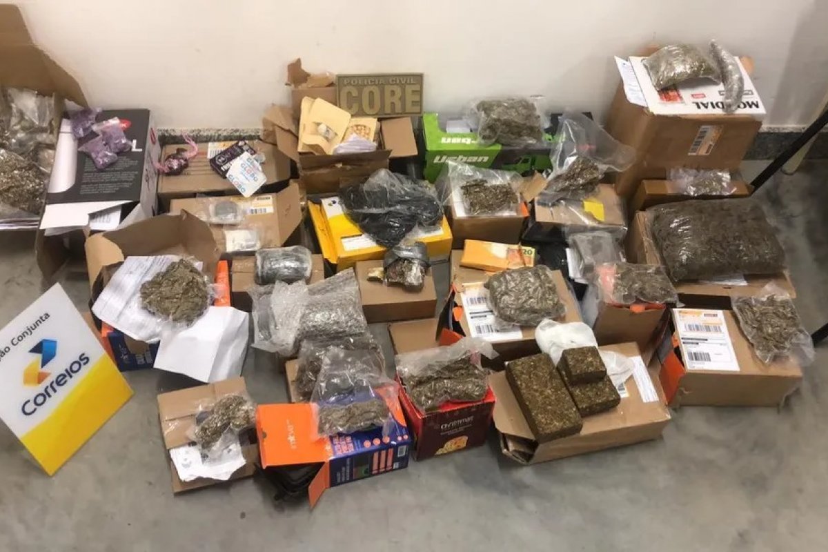 Maconha, haxixe e cogumelos são achados em embalagens de panetones, eletros e brinquedos na Bahia