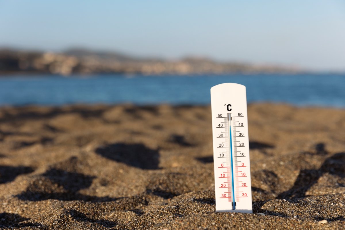 Pele preta sob calor extremo: especialista destaca cuidados essenciais em temperaturas acima de 40°C! .
