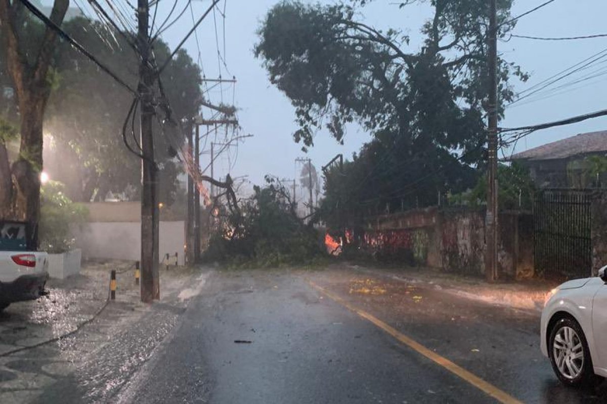 Vídeo: Salvador apresenta chuvas fortes, raios e trovões, além de rajadas de vento acima de 63 km/h