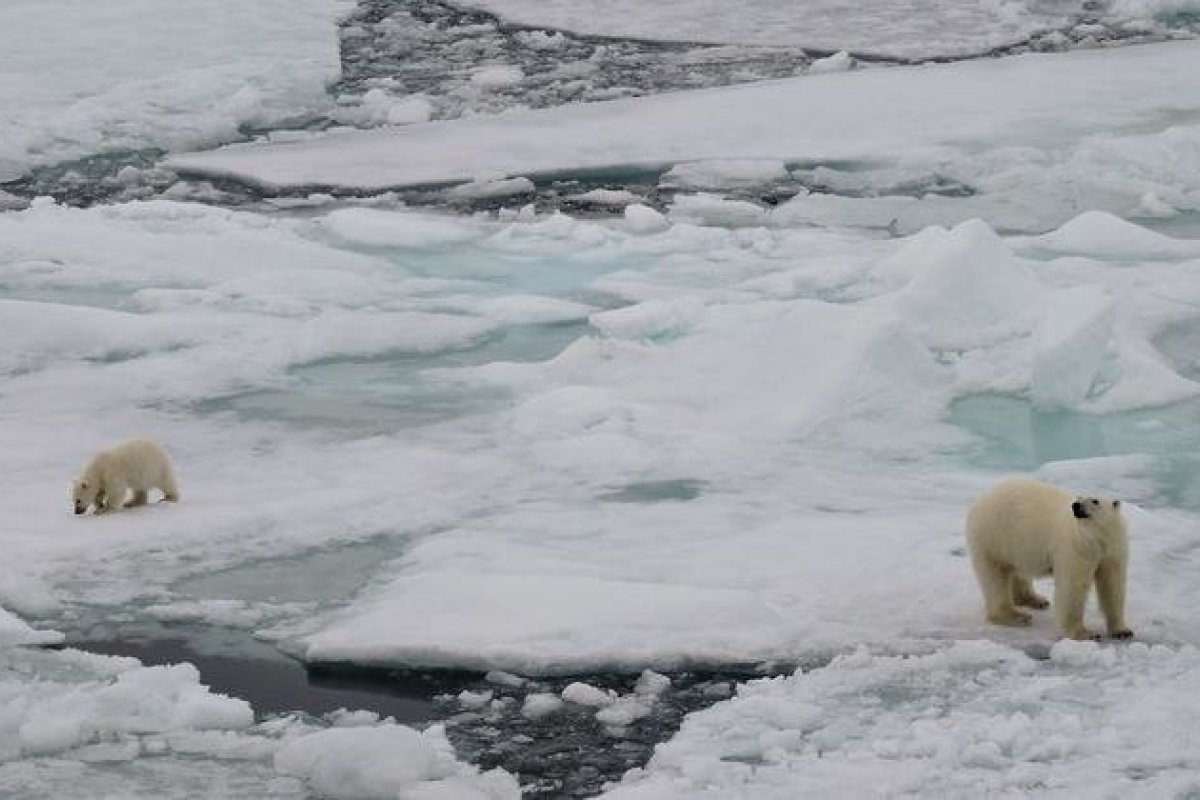 Ártico aquece duas vezes mais rápido que média global