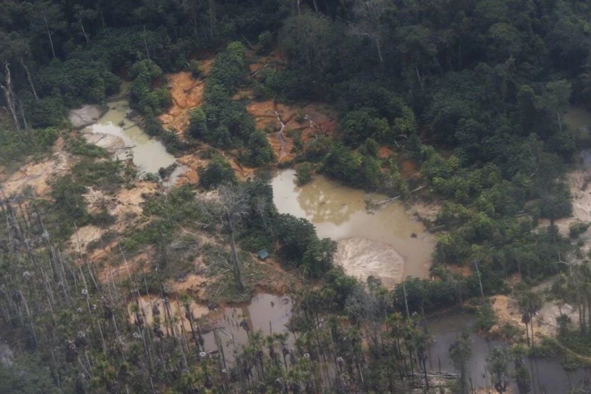 Justiça determina que União crie novo plano de ações contra garimpo ilegal na Terra Yanomami