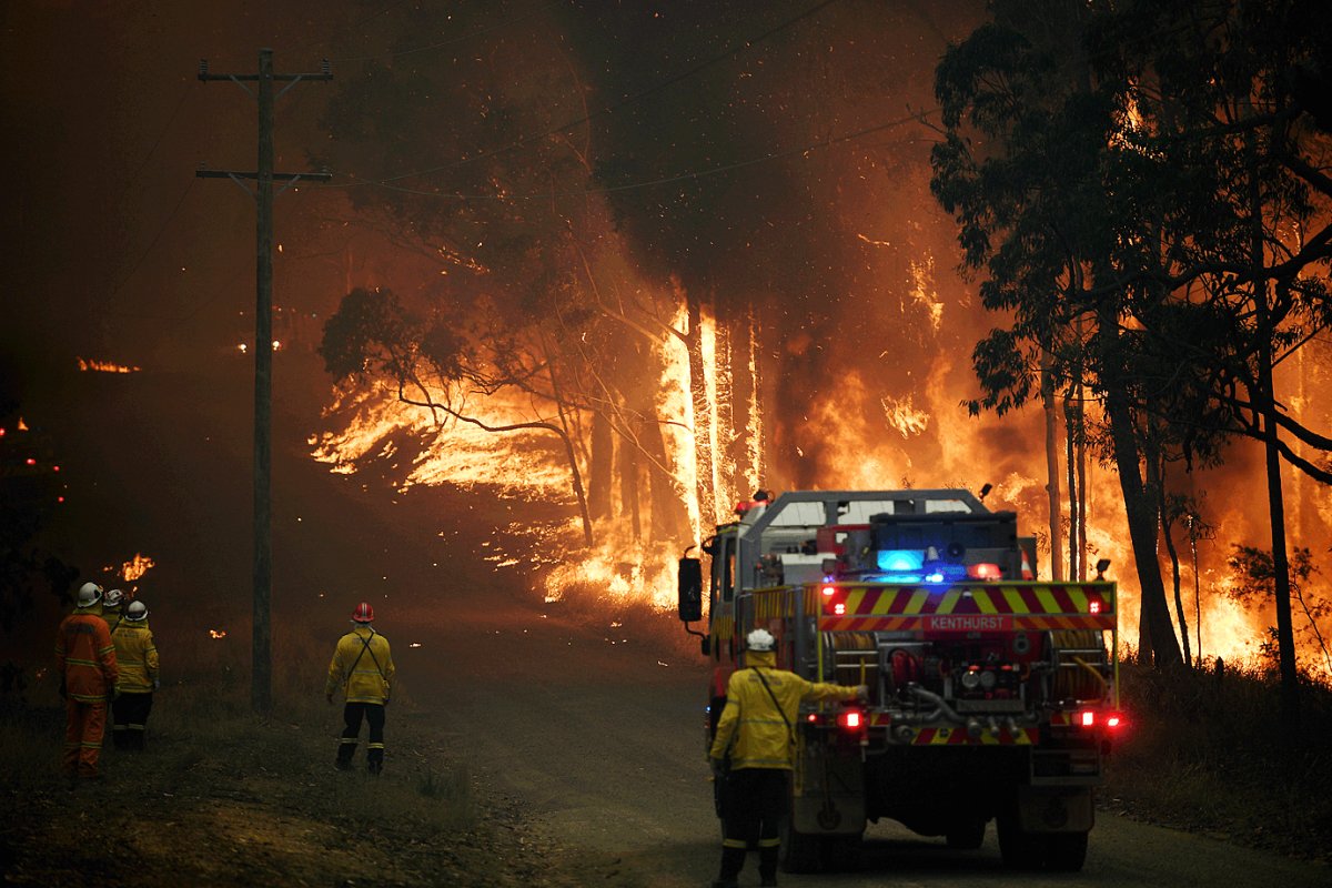 Cantora Pink doa mais R$ 1 milhão para combate de incêndios na Austrália