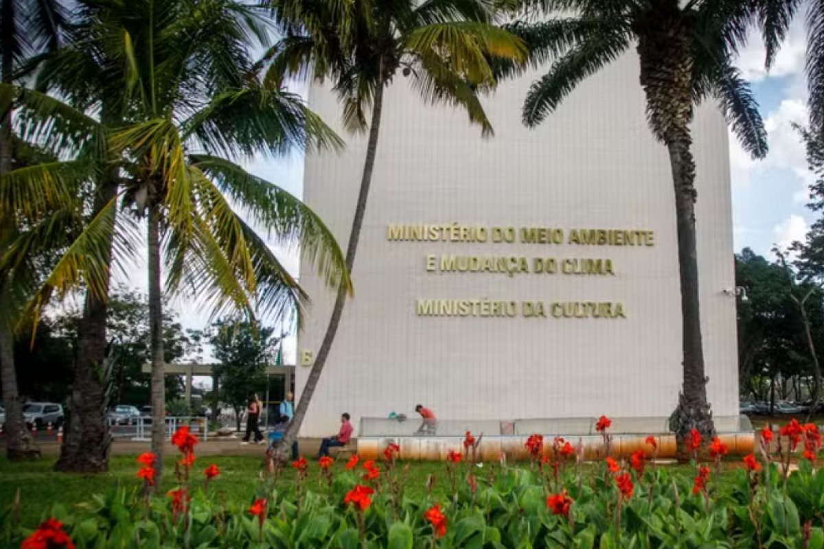 Ministério da Cultura: Confira o balanço do ano na pasta reinaugurada