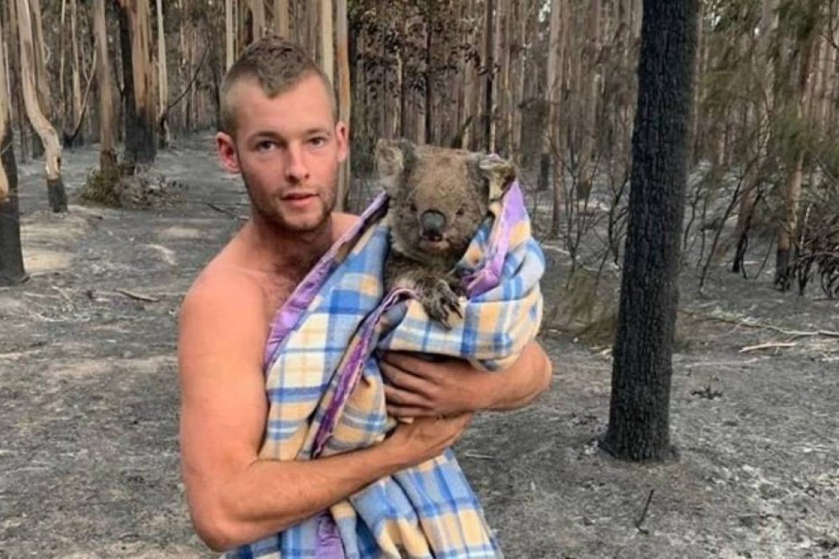 Após desafiar fogo para salvar nove coalas na Austrália, jovem é tratado como herói