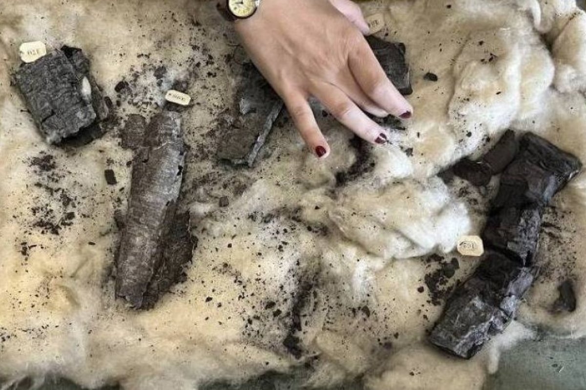 Ciência revela surpresas através da paleogenética e Inteligência Artificial