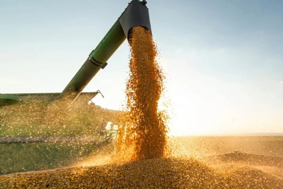 Exportações do agronegócio atingem recorde superior a US$ 140 bilhões em 2023