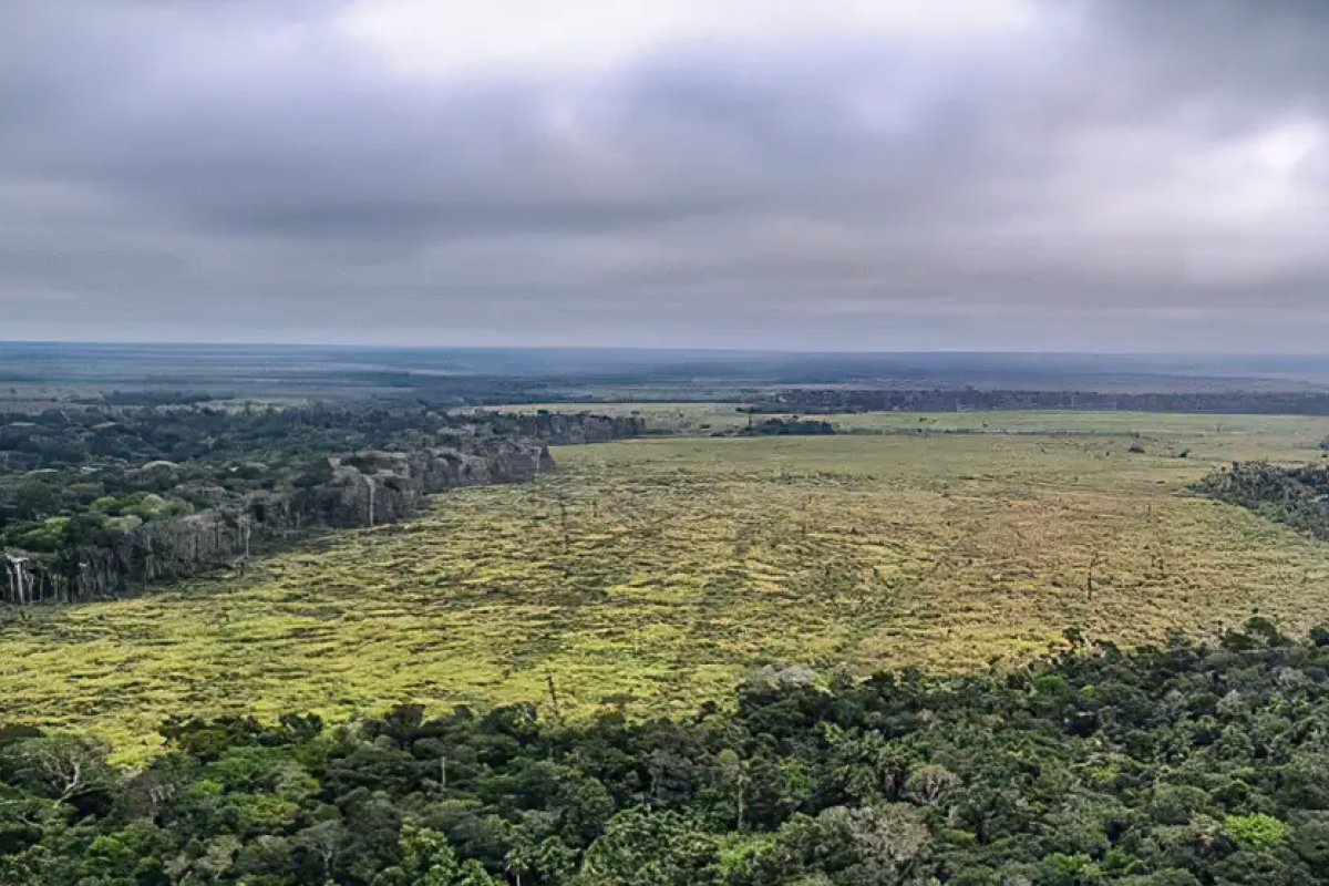 Desmatamento na Amazônia registra maior queda do ano em novembro