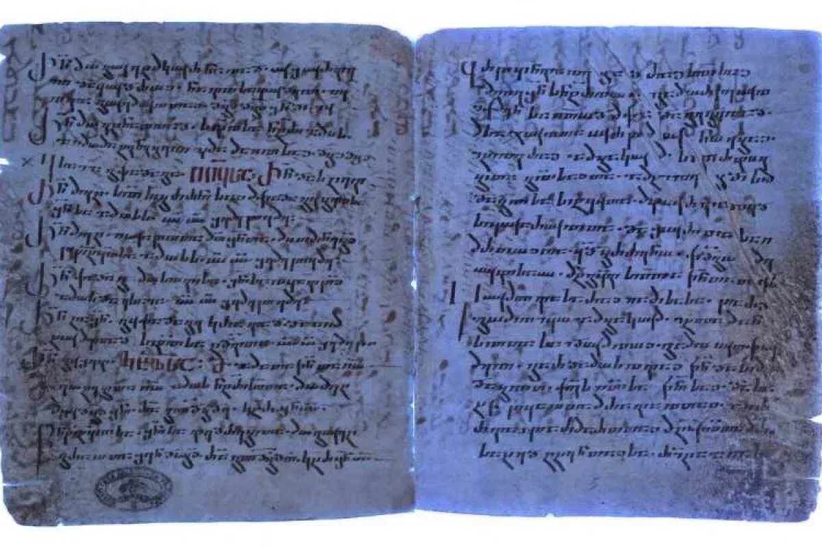 Conheça algumas descobertas feitas pela ciência em 2023