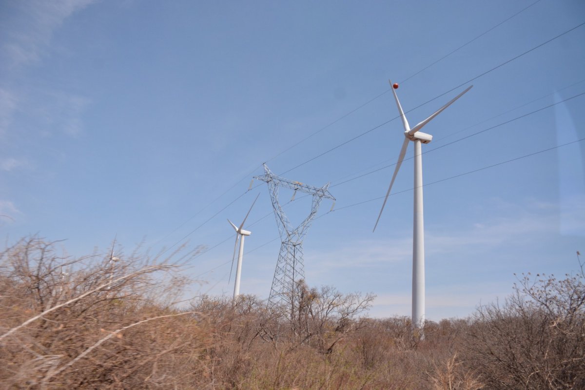 Fontes renováveis representam 93% da capacidade instalada para geração de energia na Bahia