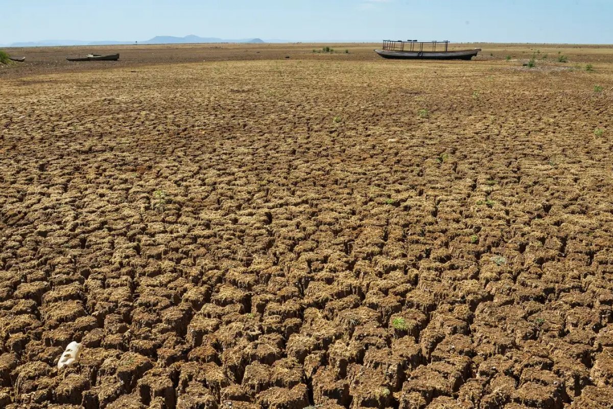 Governo federal declara situação de emergência em 31 cidades afetadas por estiagem
