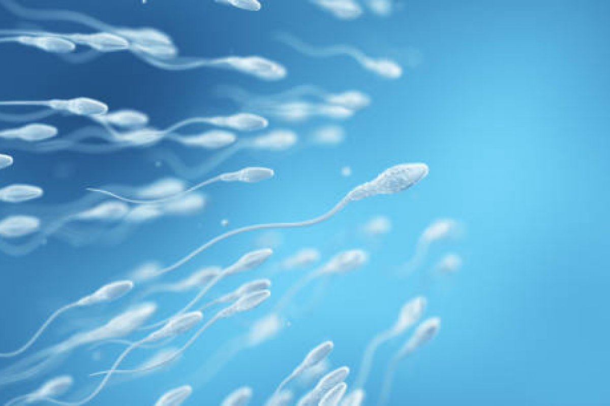 Australiana recebe autorização judicial para obter esperma do marido falecido