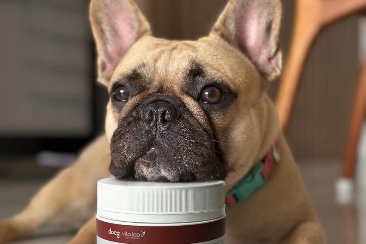 A importância do suplemento alimentar na rotina do seu pet!