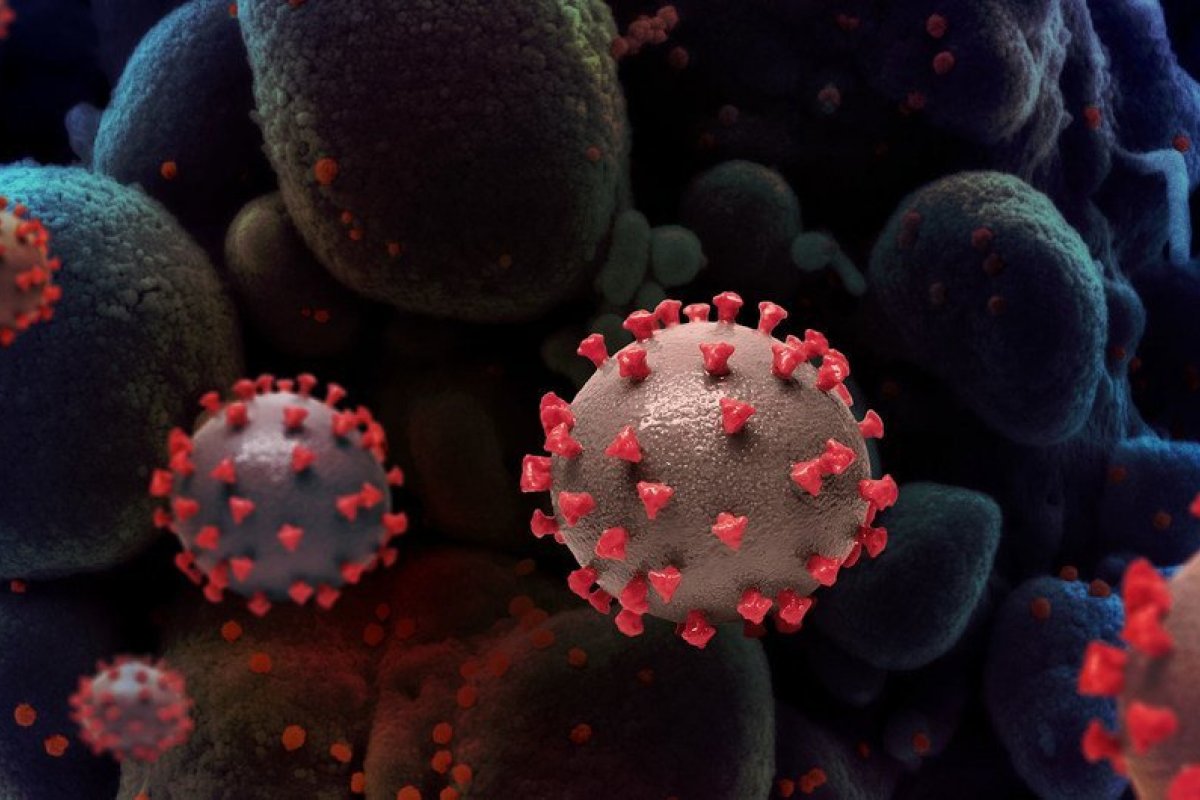 OMS aponta aumento global de 52% nos Casos de Covid-19