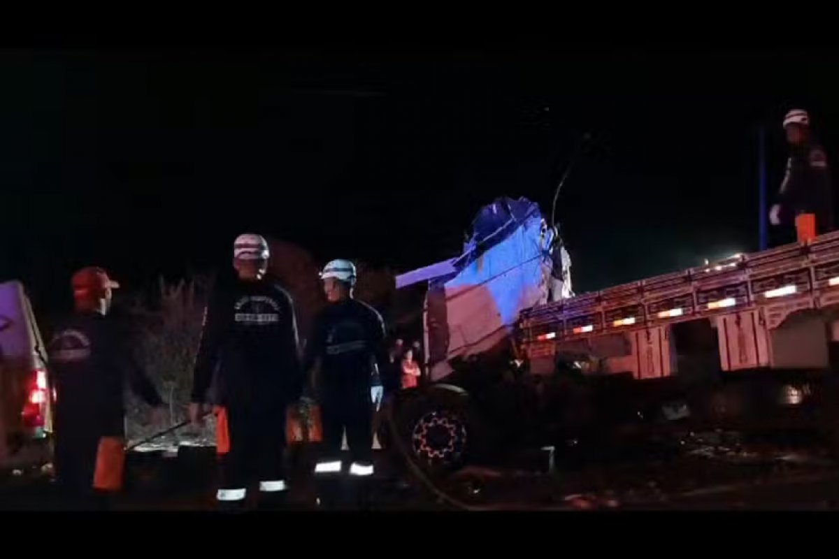 Acidente entre ônibus e caminhão deixa 24 mortos e 6 feridos no norte da Bahia